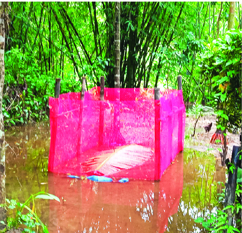 Image of মো: আবদুল কাদির 